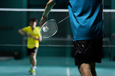 RG Pleiades Noida Extension