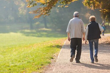 RG Pleiades Noida Extension 